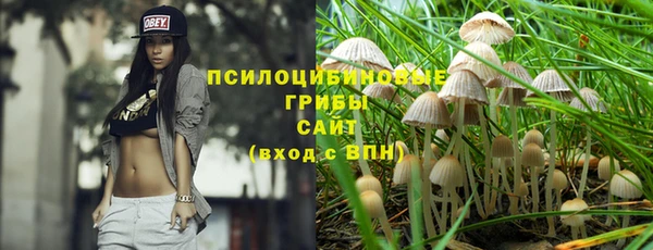 каннабис Бородино